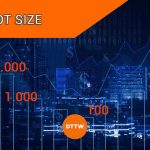 Lot Size: What Is It and How to Determine What's Right
