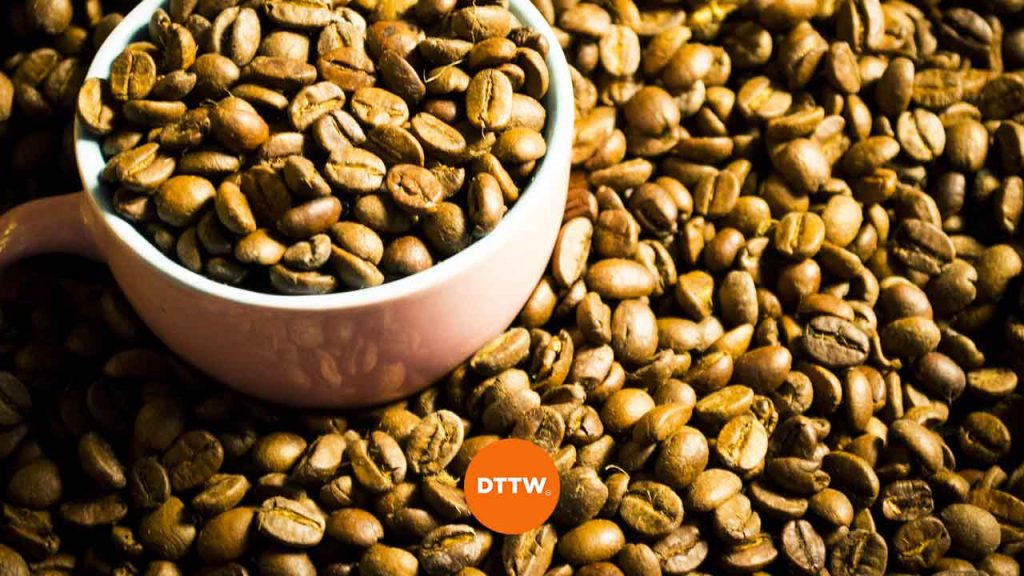 How to Trade Coffee Futures Profitably in 2023 DTTW™
