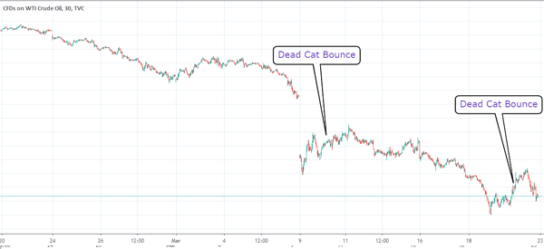dead-cat-bounce-in-crude-oil