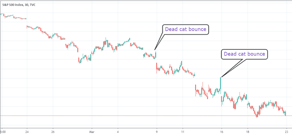 dead-cat-bounce-s&p500