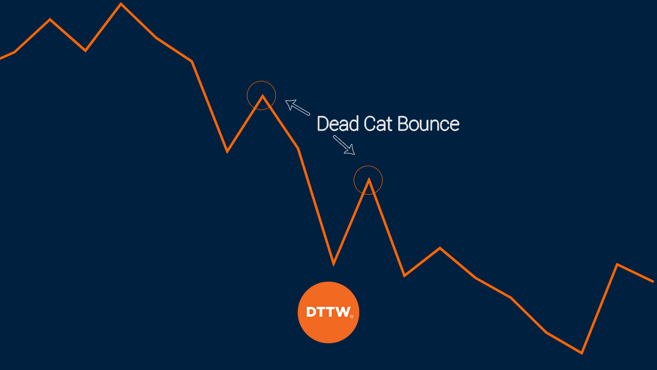 dead-cat-bounce