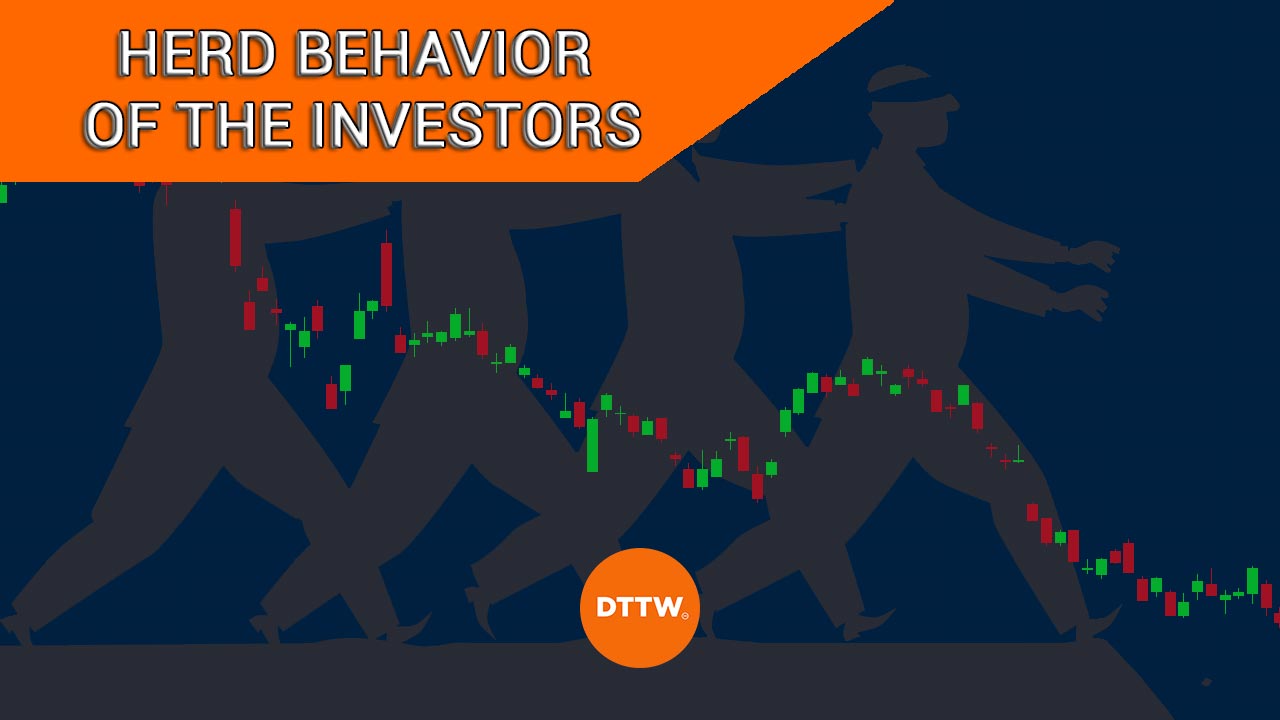 herd behavior of the investors