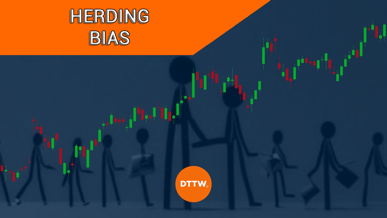herding bias